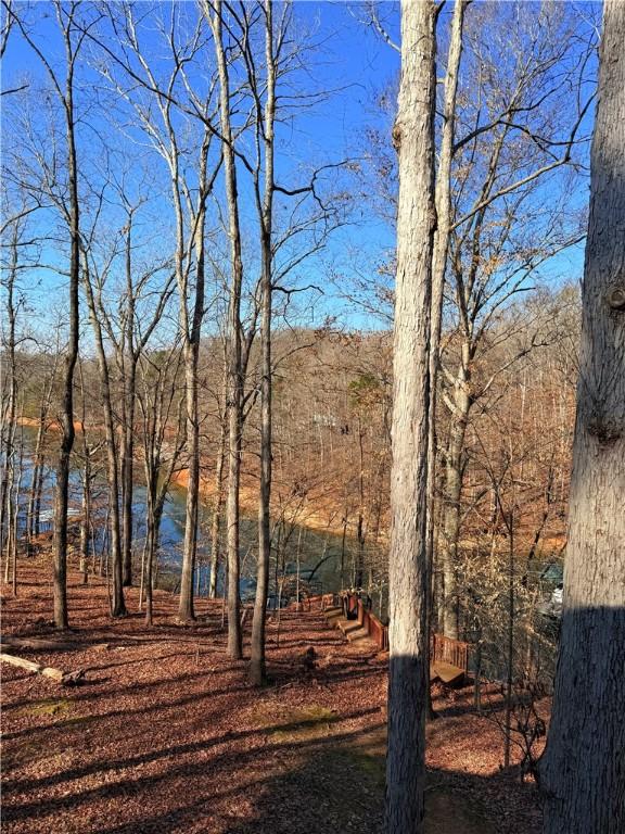 view of local wilderness