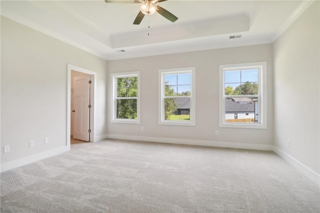 spare room with light carpet, a wealth of natural light, and a tray ceiling