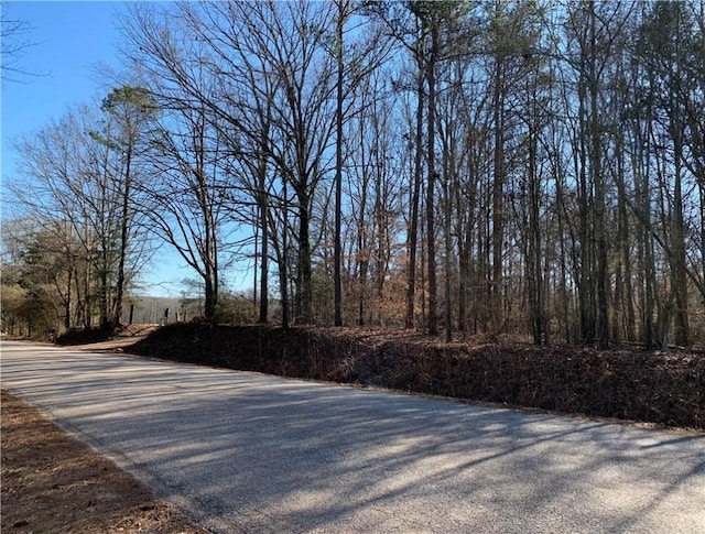 Listing photo 2 for 0 Martin Rd, Honea Path SC 29654