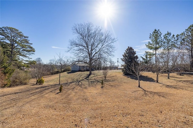 view of yard with a rural view