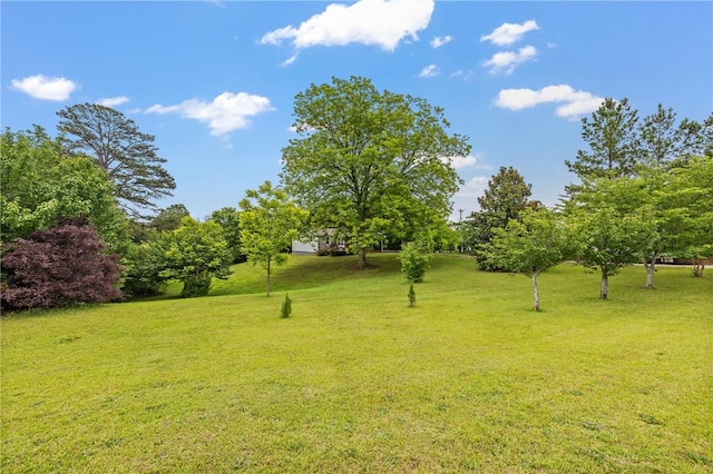 910 White Cut Rd, Walhalla, SC 29691 - photo 22
