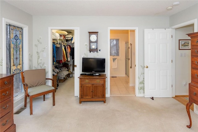 sitting room with light carpet