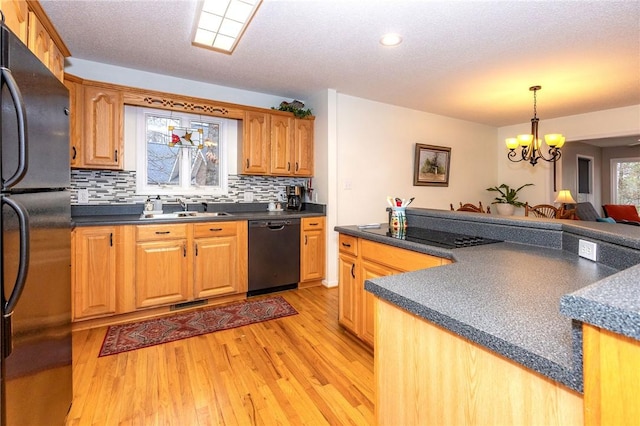 kitchen featuring a healthy amount of sunlight, sink, light hardwood / wood-style flooring, and black appliances