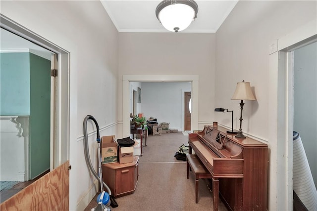 misc room featuring crown molding and carpet floors