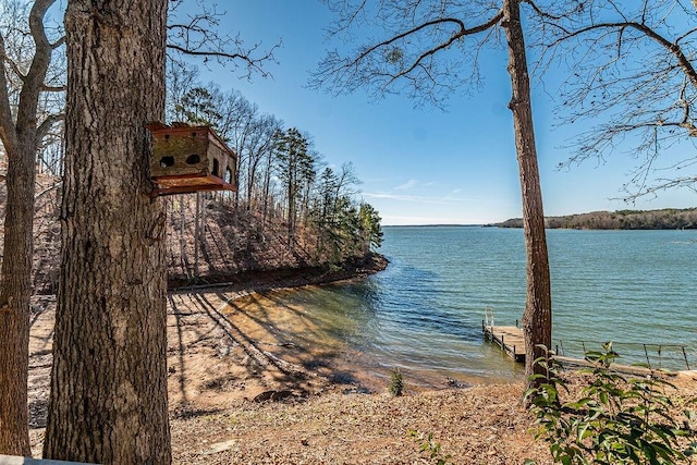 view of water feature with a boat dock