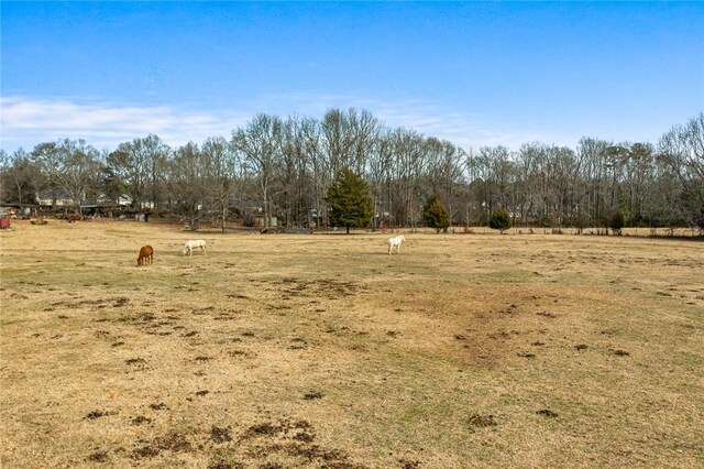 00 Midway Rd, Williamston, SC 29697 - photo 17