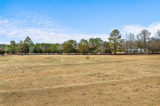 00 Midway Rd, Williamston, SC 29697 - photo 16
