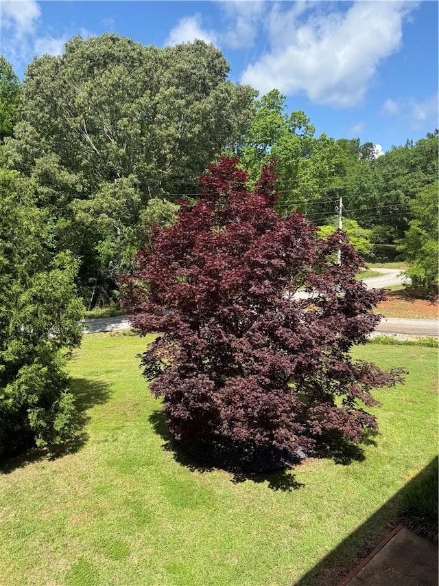 100 Echota Trl, Seneca, SC 29672 - exterior space