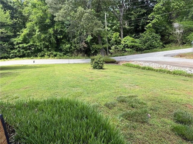 100 Echota Trl, Seneca, SC 29672 - view of yard