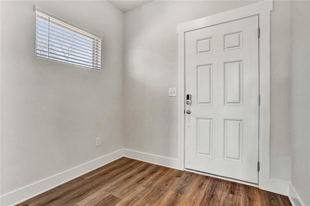 entrance foyer featuring dark wood-type flooring