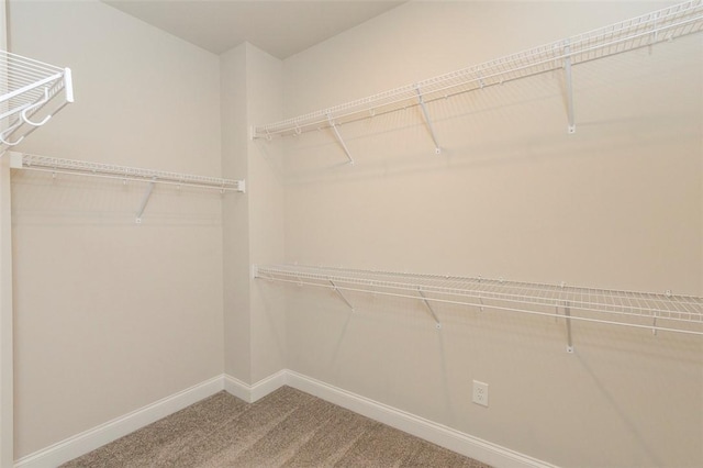 walk in closet with carpet flooring