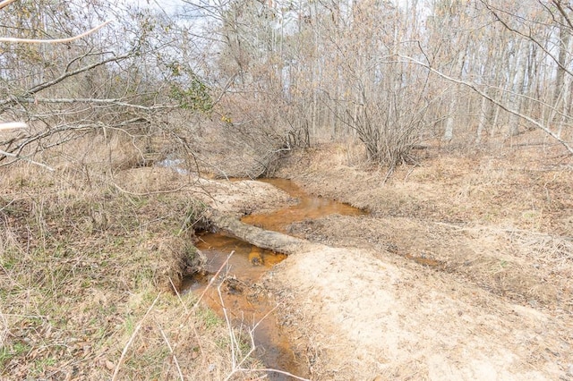 view of local wilderness