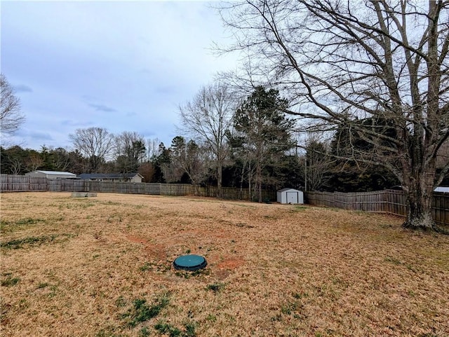 view of yard with a shed