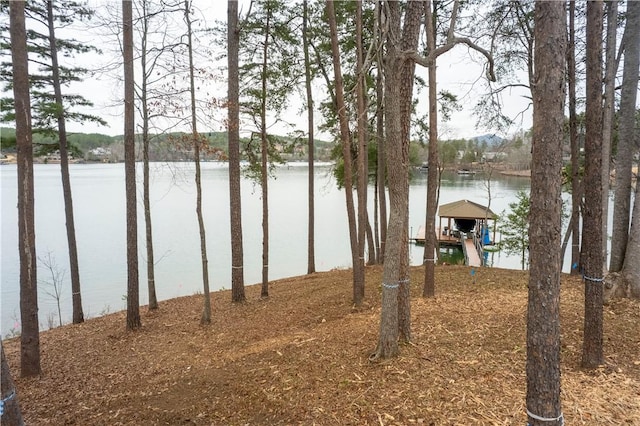 390 Peninsula Rdg, Sunset, SC 29685 - photo 18