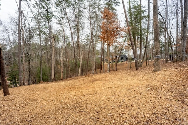 390 Peninsula Rdg, Sunset, SC 29685 - photo 19