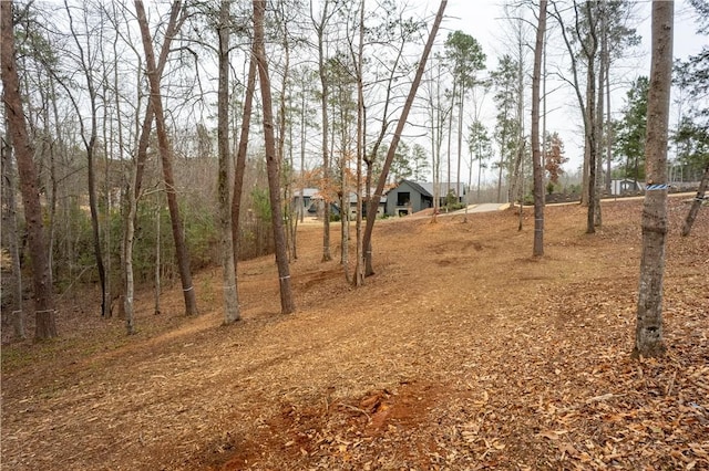 390 Peninsula Rdg, Sunset, SC 29685 - photo 20
