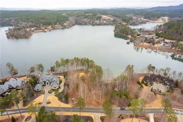 390 Peninsula Rdg, Sunset, SC 29685 - photo 4