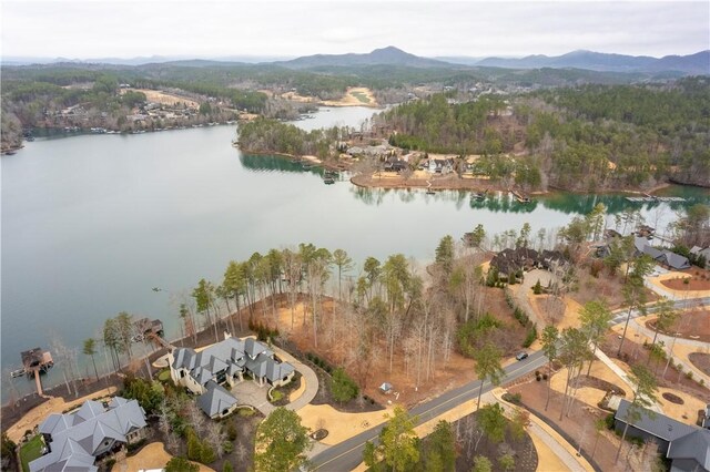 390 Peninsula Rdg, Sunset, SC 29685 - photo 5