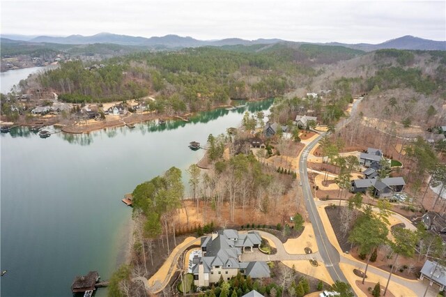 390 Peninsula Rdg, Sunset, SC 29685 - photo 6