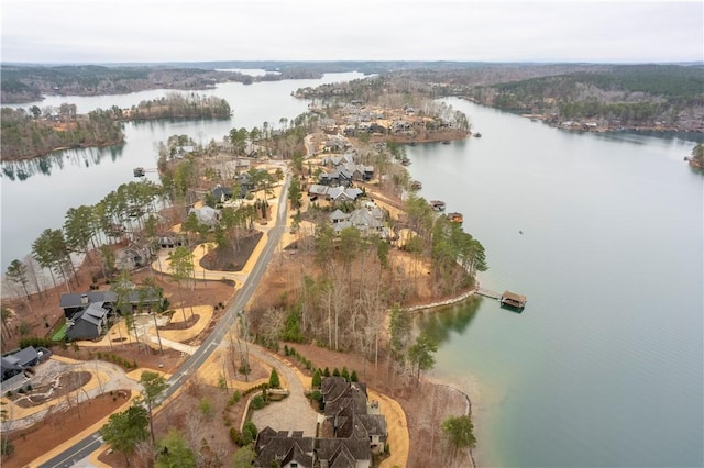 390 Peninsula Rdg, Sunset, SC 29685 - photo 10