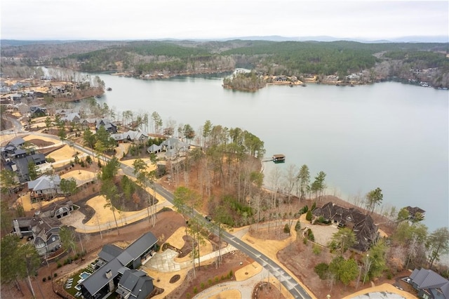 390 Peninsula Rdg, Sunset, SC 29685 - photo 11