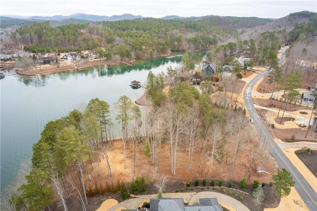 390 Peninsula Rdg, Sunset, SC 29685 - photo 13