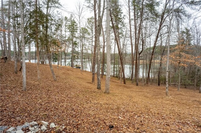 390 Peninsula Rdg, Sunset, SC 29685 - photo 16