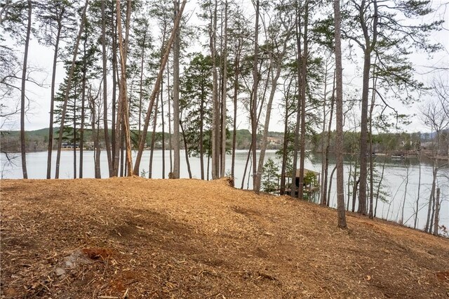390 Peninsula Rdg, Sunset, SC 29685 - photo 17