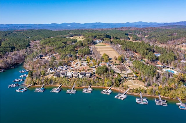 390 Peninsula Rdg, Sunset, SC 29685 - photo 24