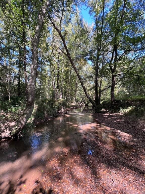1308 Breazeale Rd, Belton, SC 29627 - photo 38