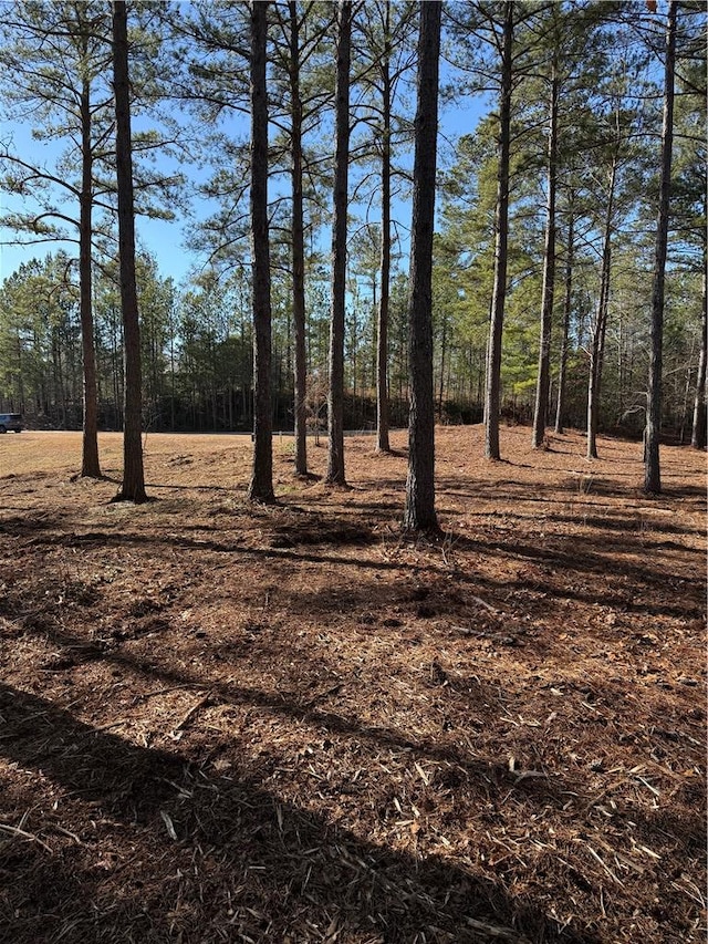 321 Golden Bear Dr, Sunset, SC 29685 - photo 7