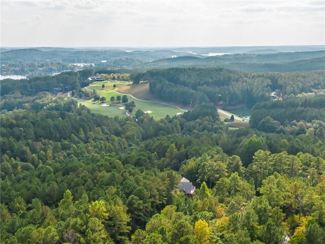321 Golden Bear Dr, Sunset, SC 29685 - photo 8