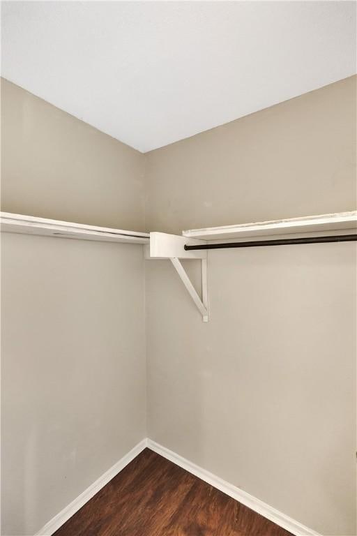 spacious closet featuring dark wood-type flooring