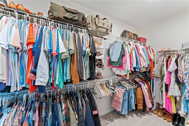 walk in closet with carpet flooring