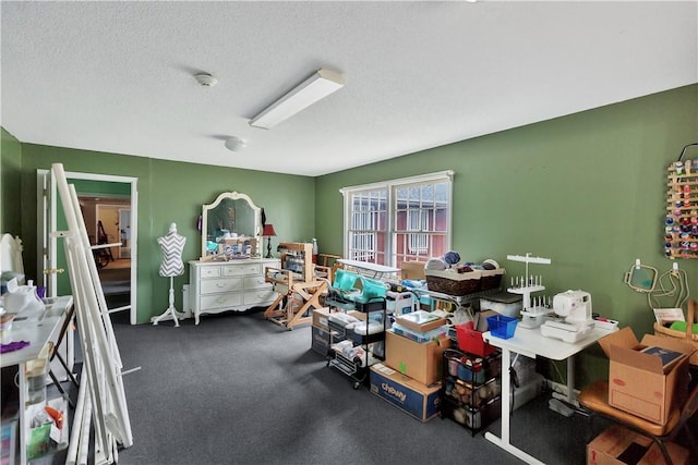 misc room with carpet floors and a textured ceiling