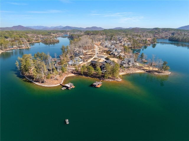 birds eye view of property with a water and mountain view