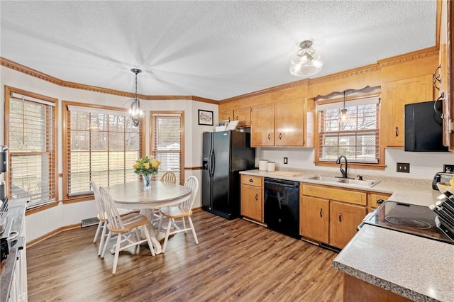 kitchen featuring sink, a textured ceiling, light hardwood / wood-style flooring, pendant lighting, and black appliances