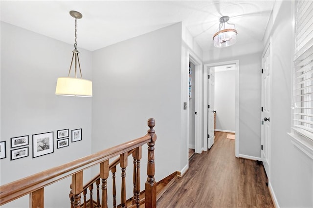 hallway with wood-type flooring