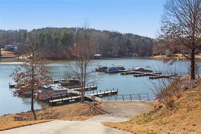 dock area with a water view