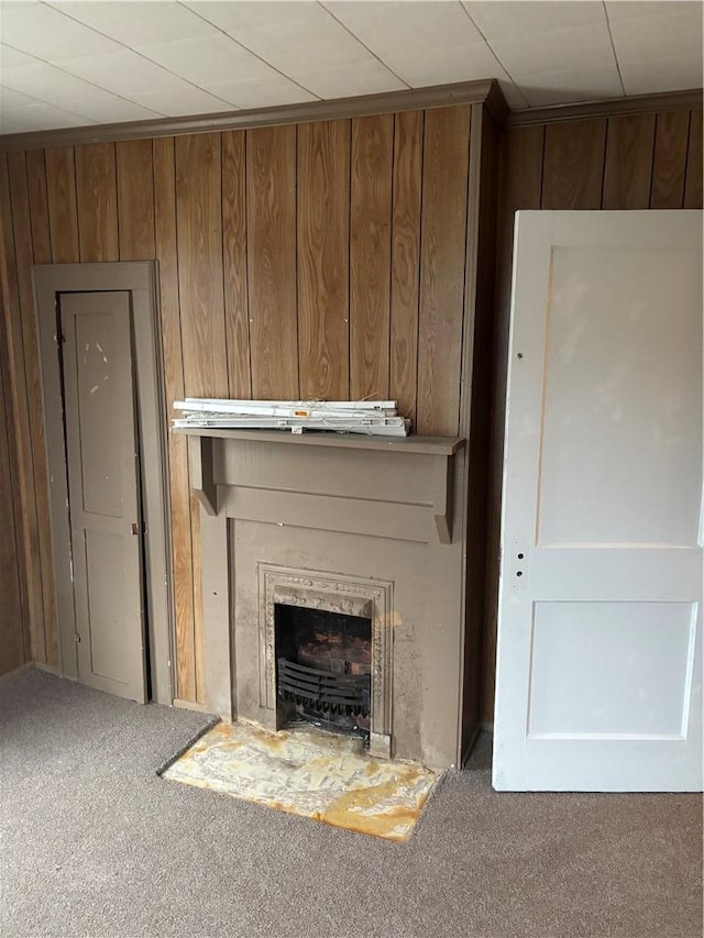 room details featuring wooden walls and carpet