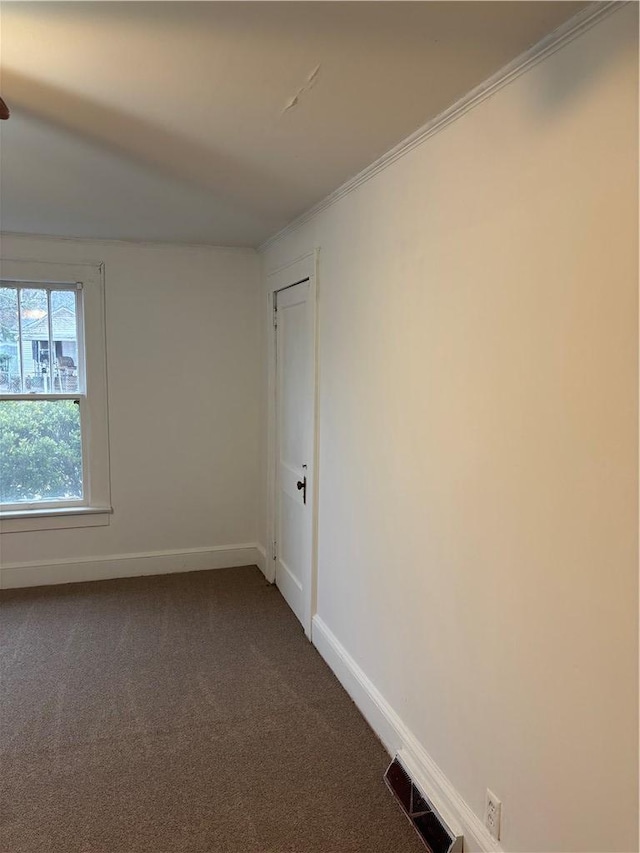 spare room featuring crown molding and carpet flooring