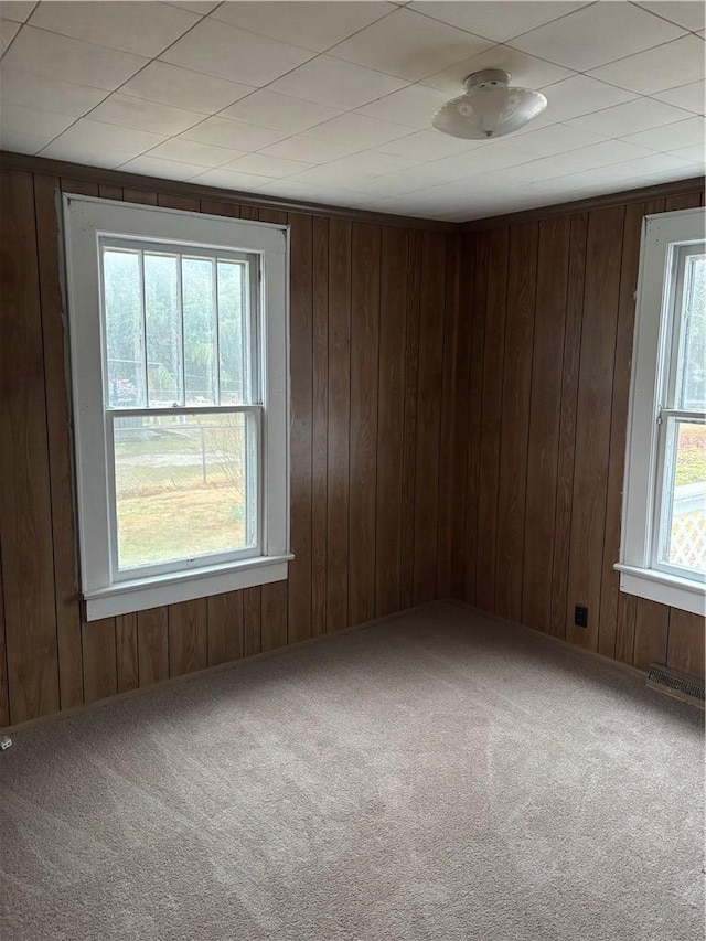 spare room with carpet floors, wooden walls, and a healthy amount of sunlight