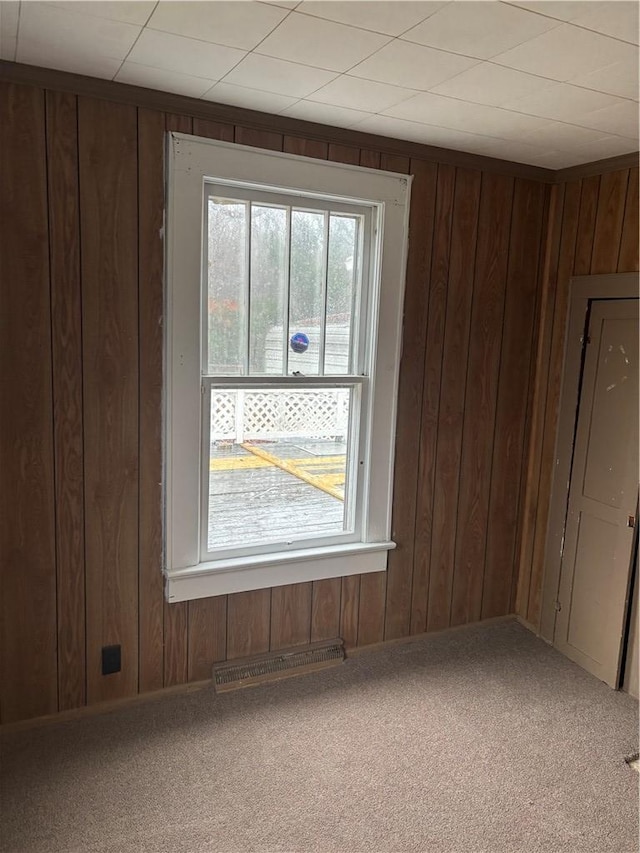 spare room with carpet floors and wooden walls