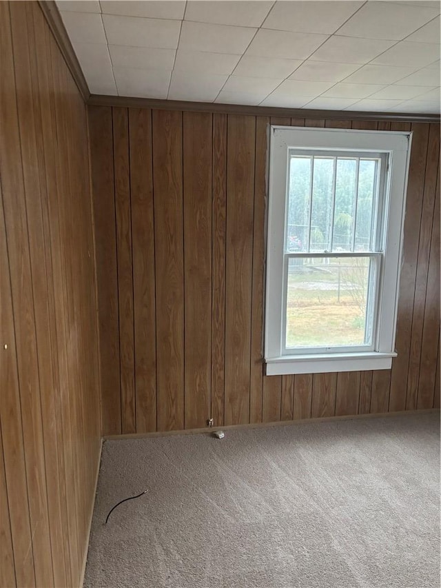 carpeted spare room featuring wood walls