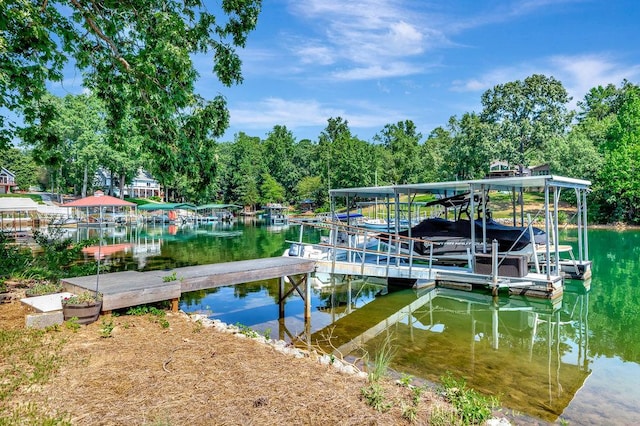 dock area with a water view