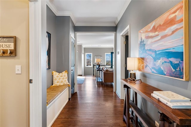 hall with crown molding and dark hardwood / wood-style floors