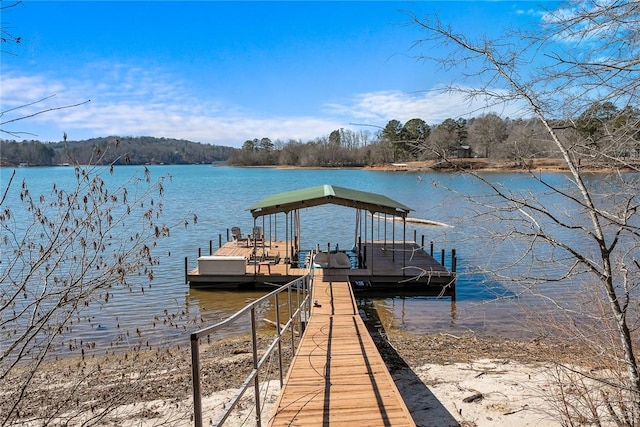 dock area with a water view