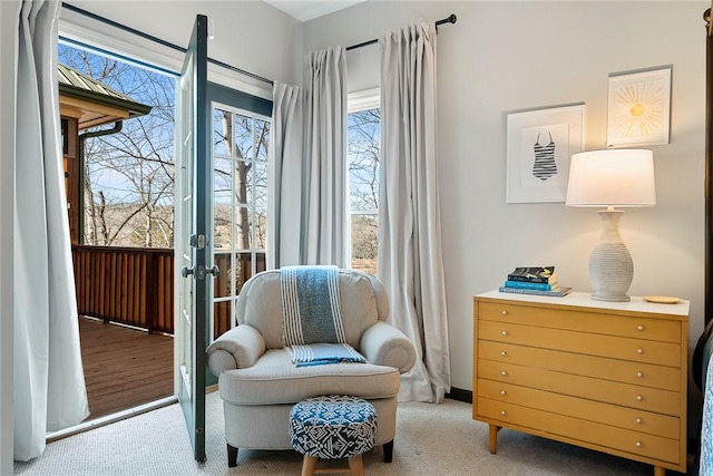 sitting room with carpet flooring