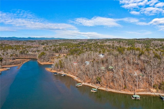 drone / aerial view featuring a water and mountain view