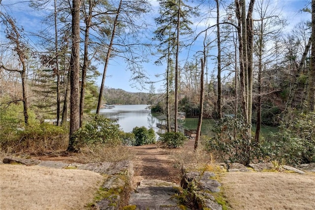 view of yard featuring a water view
